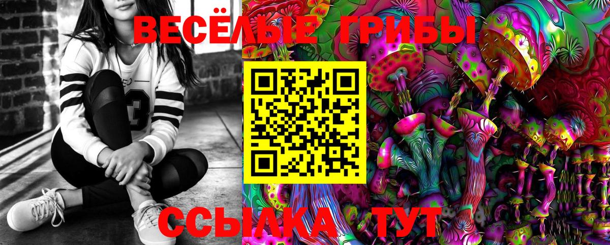Псилоцибиновые грибы Psilocybine cubensis Тулун