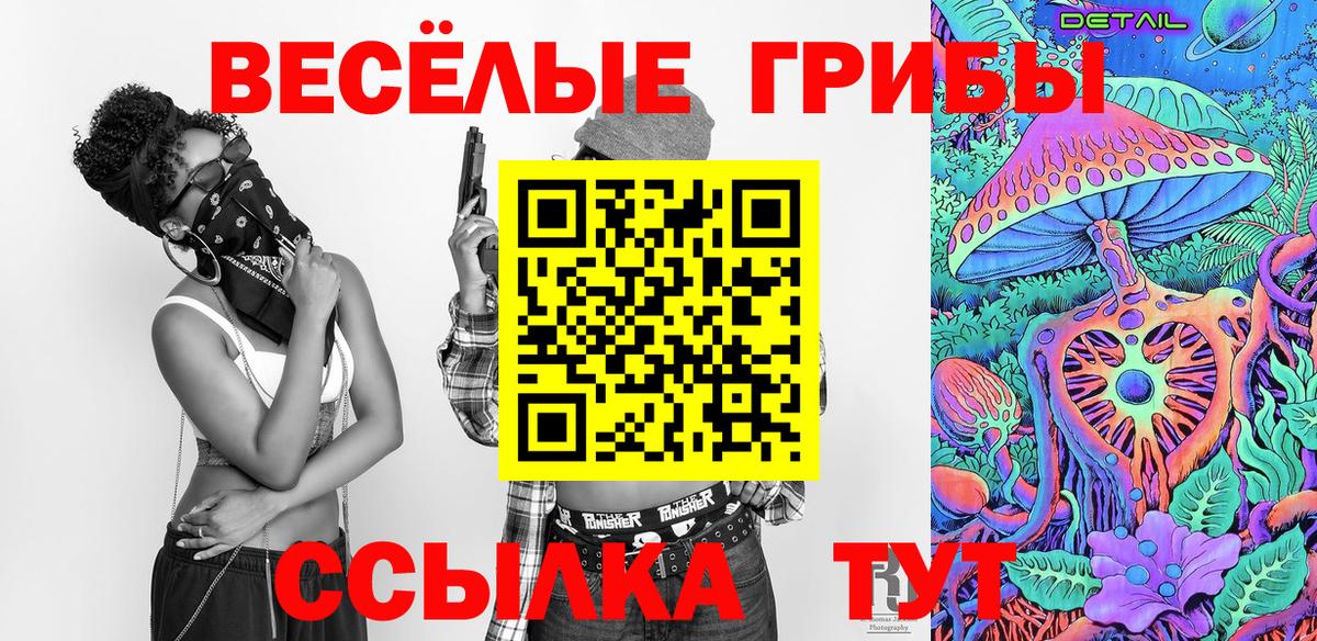 Галлюциногенные грибы Cubensis  Псилоцибиновые грибы Psilocybe  Тулун  как найти   Вход с VPN 